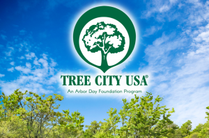 Tree City USA | Blog